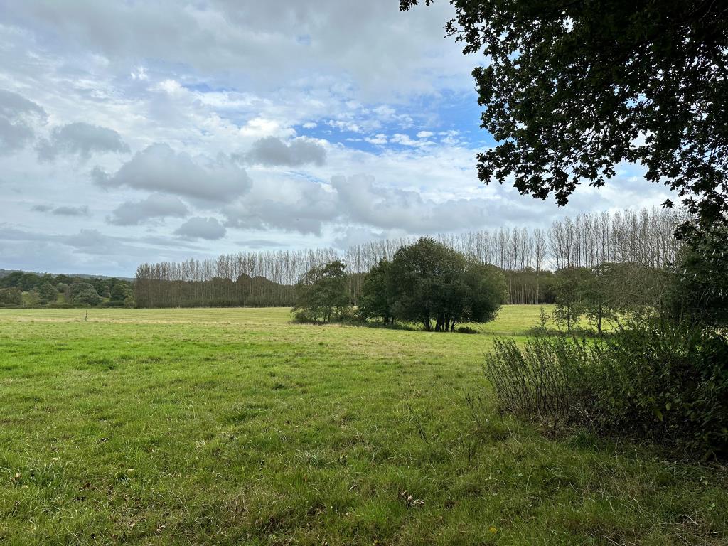 Lot: 6 - 2.9 ACRES OF FREEHOLD LAND -